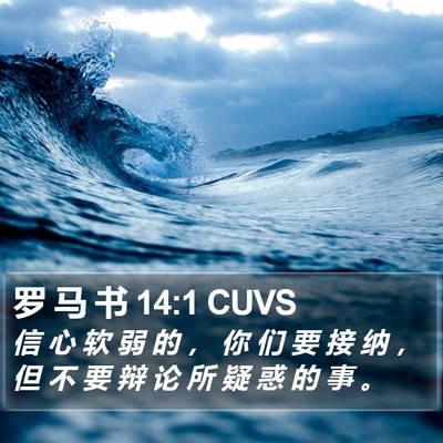 罗 马 书 14:1 CUVS Bible Verse Image