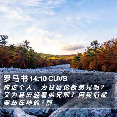 罗 马 书 14:10 CUVS Bible Verse Image