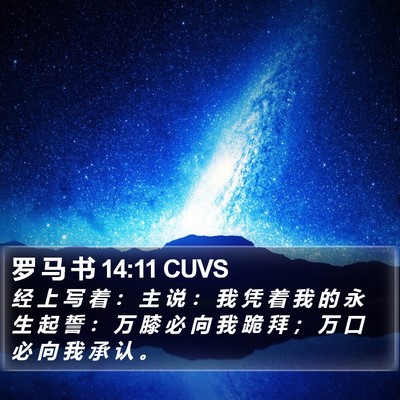 罗 马 书 14:11 CUVS Bible Verse Image