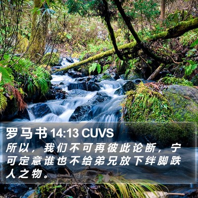 罗 马 书 14:13 CUVS Bible Verse Image