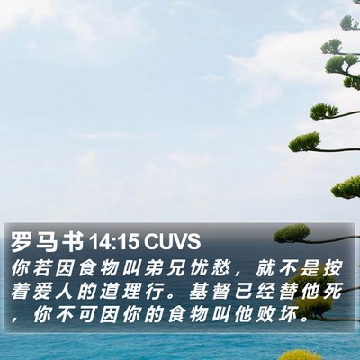 罗 马 书 14:15 CUVS Bible Verse Image