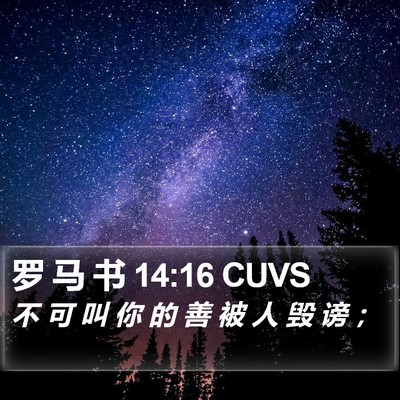 罗 马 书 14:16 CUVS Bible Verse Image
