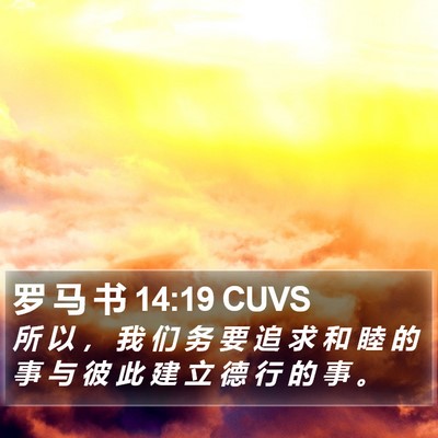罗 马 书 14:19 CUVS Bible Verse Image