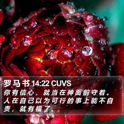 罗 马 书 14:22 CUVS Bible Verse Image