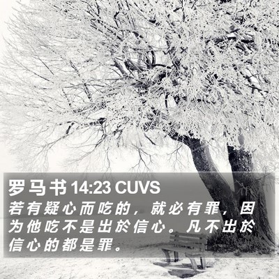 罗 马 书 14:23 CUVS Bible Verse Image