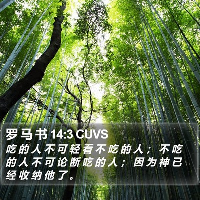 罗 马 书 14:3 CUVS Bible Verse Image