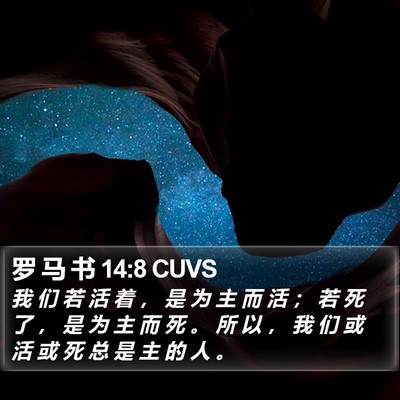 罗 马 书 14:8 CUVS Bible Verse Image