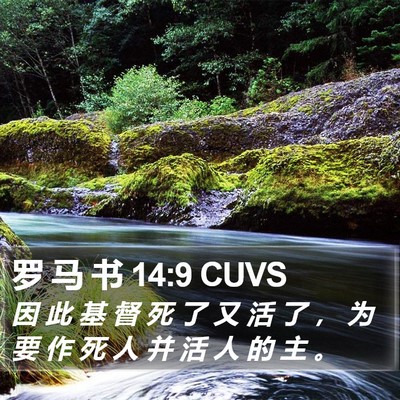 罗 马 书 14:9 CUVS Bible Verse Image