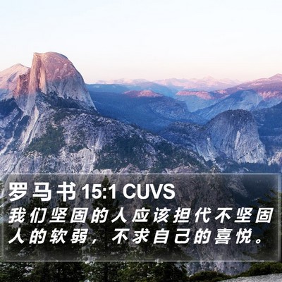 罗 马 书 15:1 CUVS Bible Verse Image