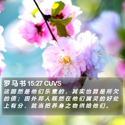 罗 马 书 15:27 CUVS Bible Verse Image