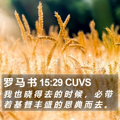 罗 马 书 15:29 CUVS Bible Verse Image