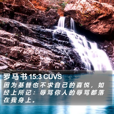 罗 马 书 15:3 CUVS Bible Verse Image