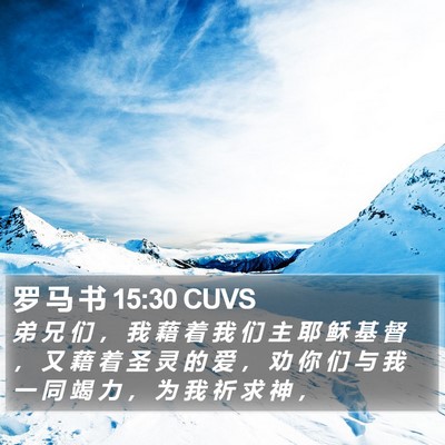 罗 马 书 15:30 CUVS Bible Verse Image