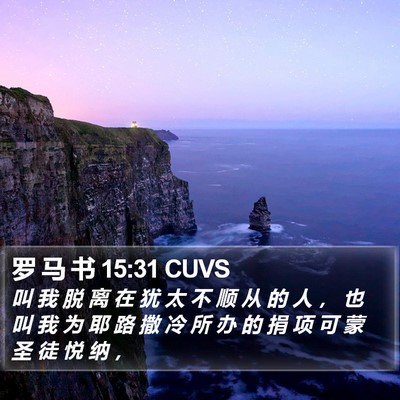 罗 马 书 15:31 CUVS Bible Verse Image