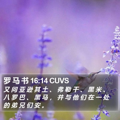 罗 马 书 16:14 CUVS Bible Verse Image