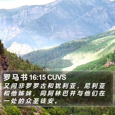 罗 马 书 16:15 CUVS Bible Verse Image
