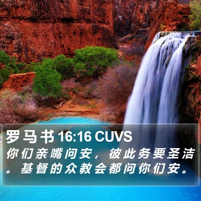 罗 马 书 16:16 CUVS Bible Verse Image