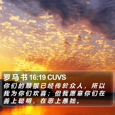 罗 马 书 16:19 CUVS Bible Verse Image