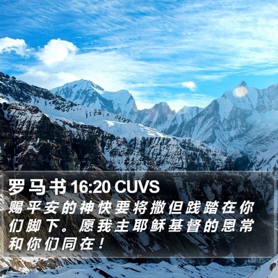 罗 马 书 16:20 CUVS Bible Verse Image
