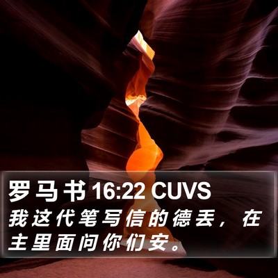 罗 马 书 16:22 CUVS Bible Verse Image