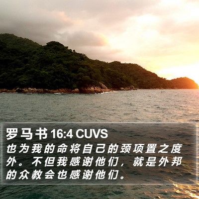 罗 马 书 16:4 CUVS Bible Verse Image