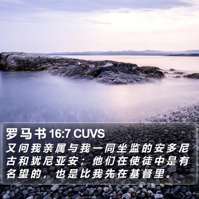 罗 马 书 16:7 CUVS Bible Verse Image
