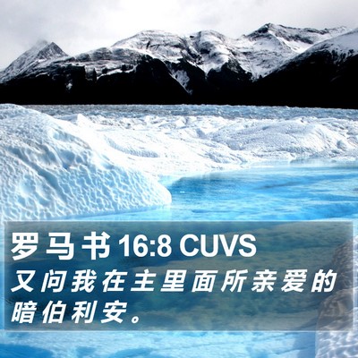 罗 马 书 16:8 CUVS Bible Verse Image