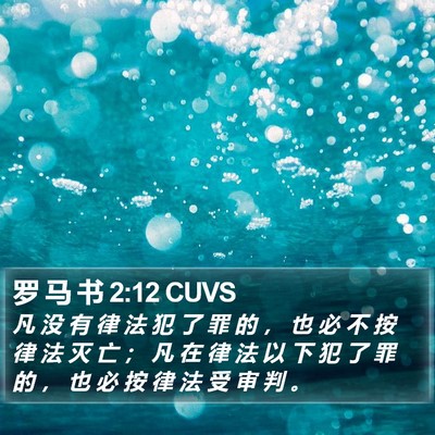 罗 马 书 2:12 CUVS Bible Verse Image