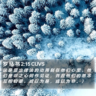 罗 马 书 2:15 CUVS Bible Verse Image