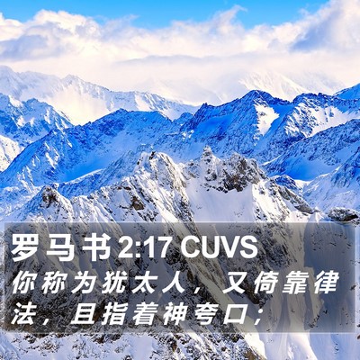 罗 马 书 2:17 CUVS Bible Verse Image
