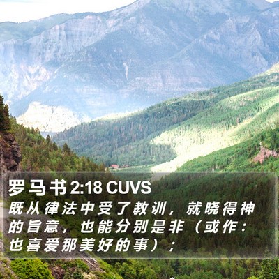 罗 马 书 2:18 CUVS Bible Verse Image