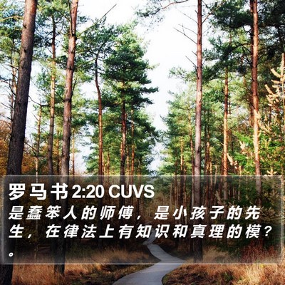 罗 马 书 2:20 CUVS Bible Verse Image
