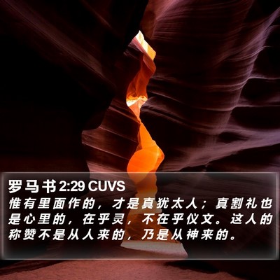 罗 马 书 2:29 CUVS Bible Verse Image