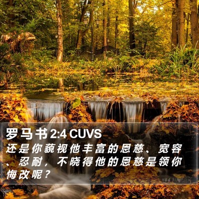 罗 马 书 2:4 CUVS Bible Verse Image