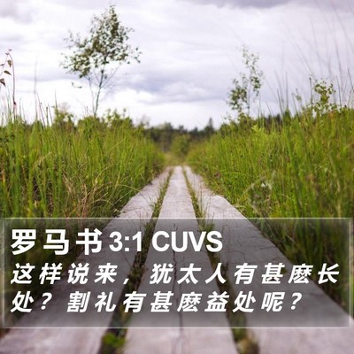 罗 马 书 3:1 CUVS Bible Verse Image