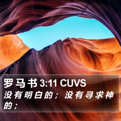 罗 马 书 3:11 CUVS Bible Verse Image