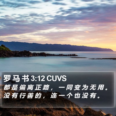 罗 马 书 3:12 CUVS Bible Verse Image