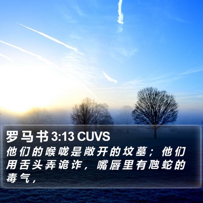 罗 马 书 3:13 CUVS Bible Verse Image