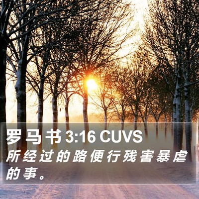 罗 马 书 3:16 CUVS Bible Verse Image