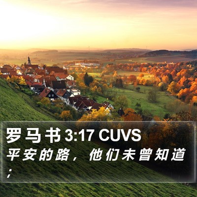 罗 马 书 3:17 CUVS Bible Verse Image