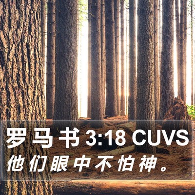 罗 马 书 3:18 CUVS Bible Verse Image