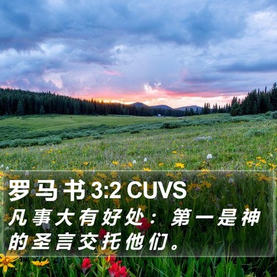 罗 马 书 3:2 CUVS Bible Verse Image