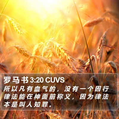 罗 马 书 3:20 CUVS Bible Verse Image