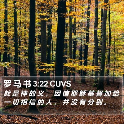 罗 马 书 3:22 CUVS Bible Verse Image