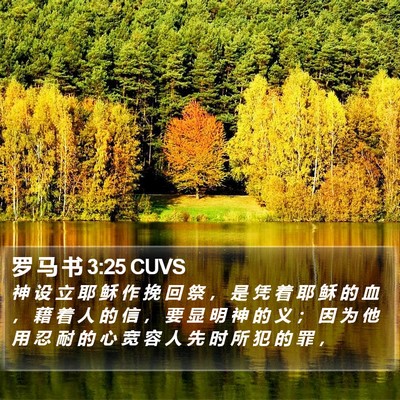 罗 马 书 3:25 CUVS Bible Verse Image