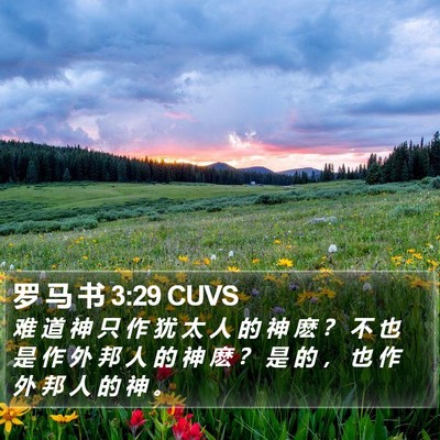 罗 马 书 3:29 CUVS Bible Verse Image