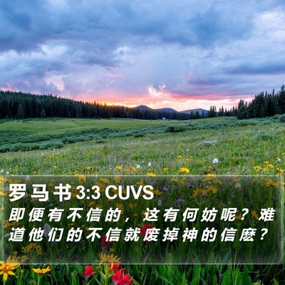 罗 马 书 3:3 CUVS Bible Verse Image
