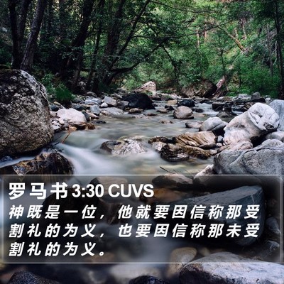 罗 马 书 3:30 CUVS Bible Verse Image