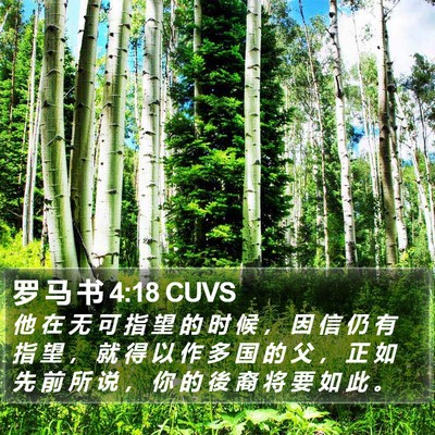 罗 马 书 4:18 CUVS Bible Verse Image