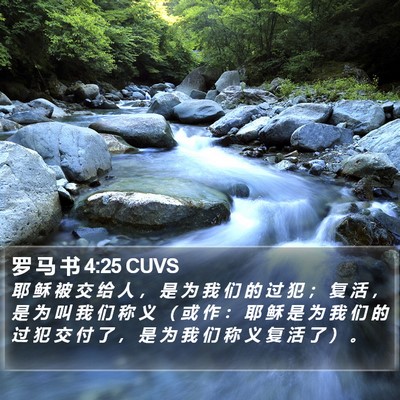 罗 马 书 4:25 CUVS Bible Verse Image